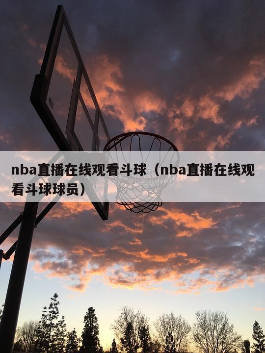 nba直播在线观看斗球（nba直...