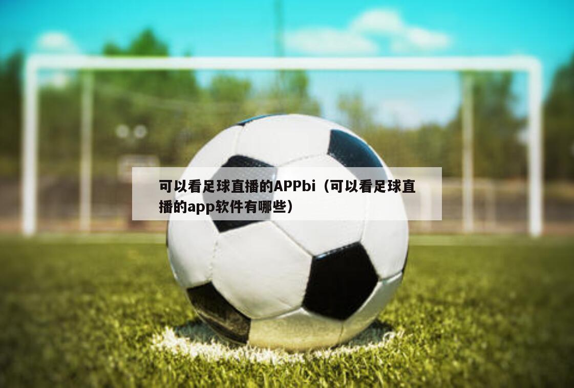 可以看足球直播的APPbi（可以看足球直播的app软件有哪些）